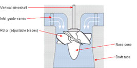 Basic Layout of a Kaplan Turbine